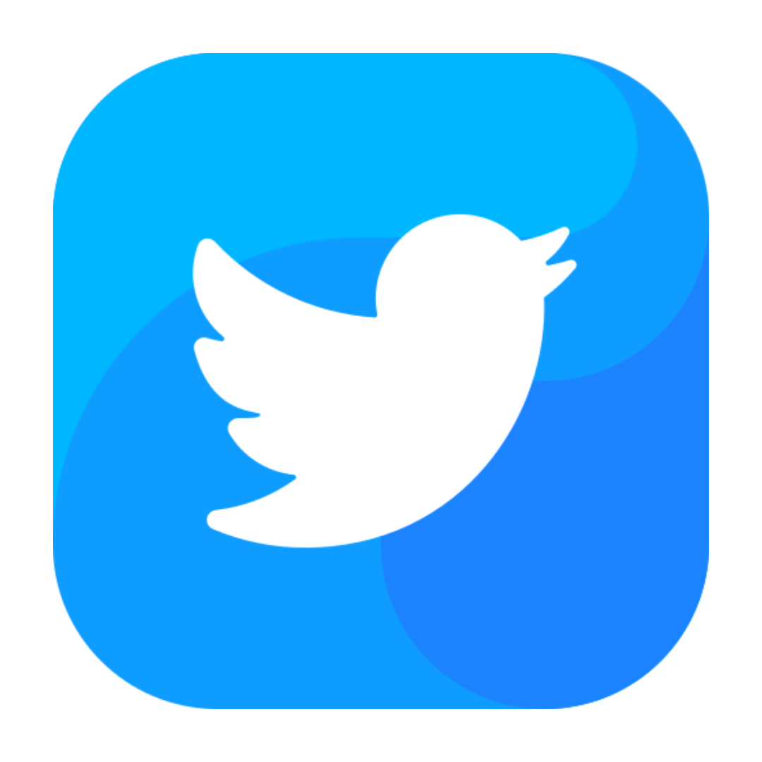 Twitter ( X ) - Followers ᴺᴱᵂ