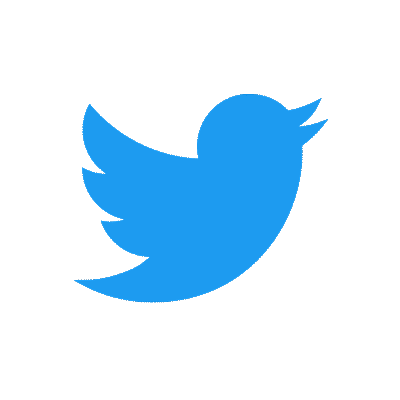 Twitter ( X ) - Followers
